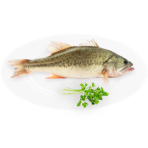 新鮮蔬菜配送哪家最便宜呢