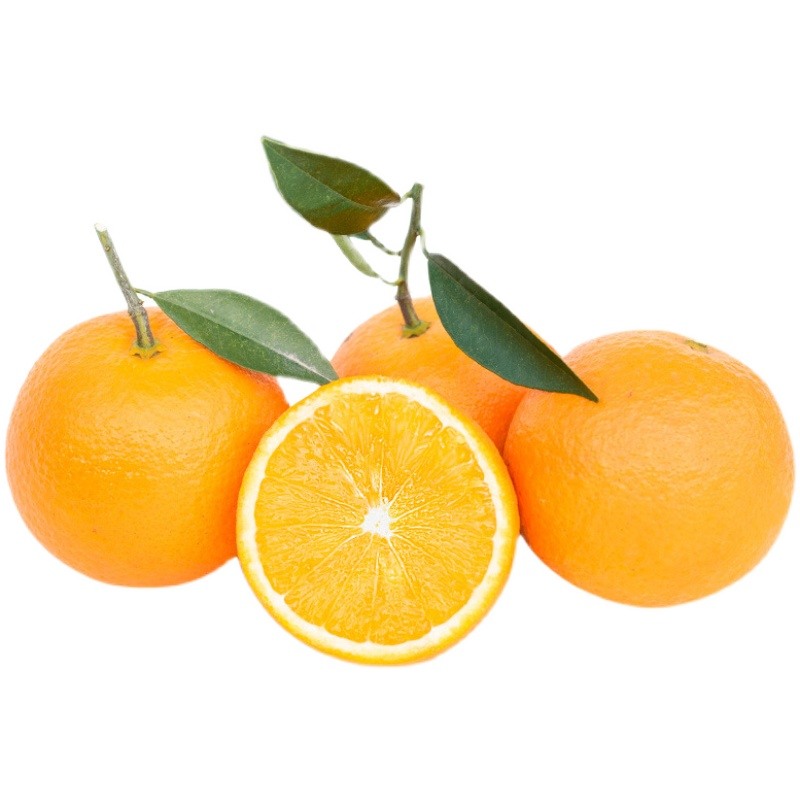 春季飲食擊退春困 哪些食物最有效早春