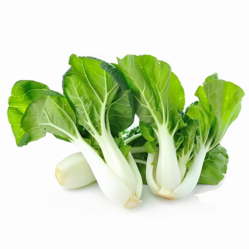 “春夏秋冬”喝茶的養(yǎng)生之道